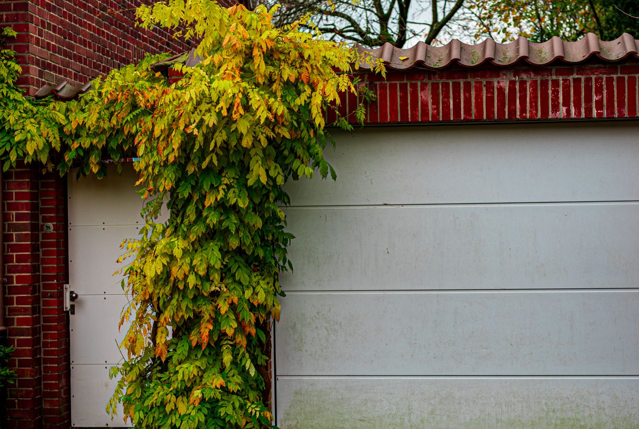What Your Garage Door Is Trying to Tell You